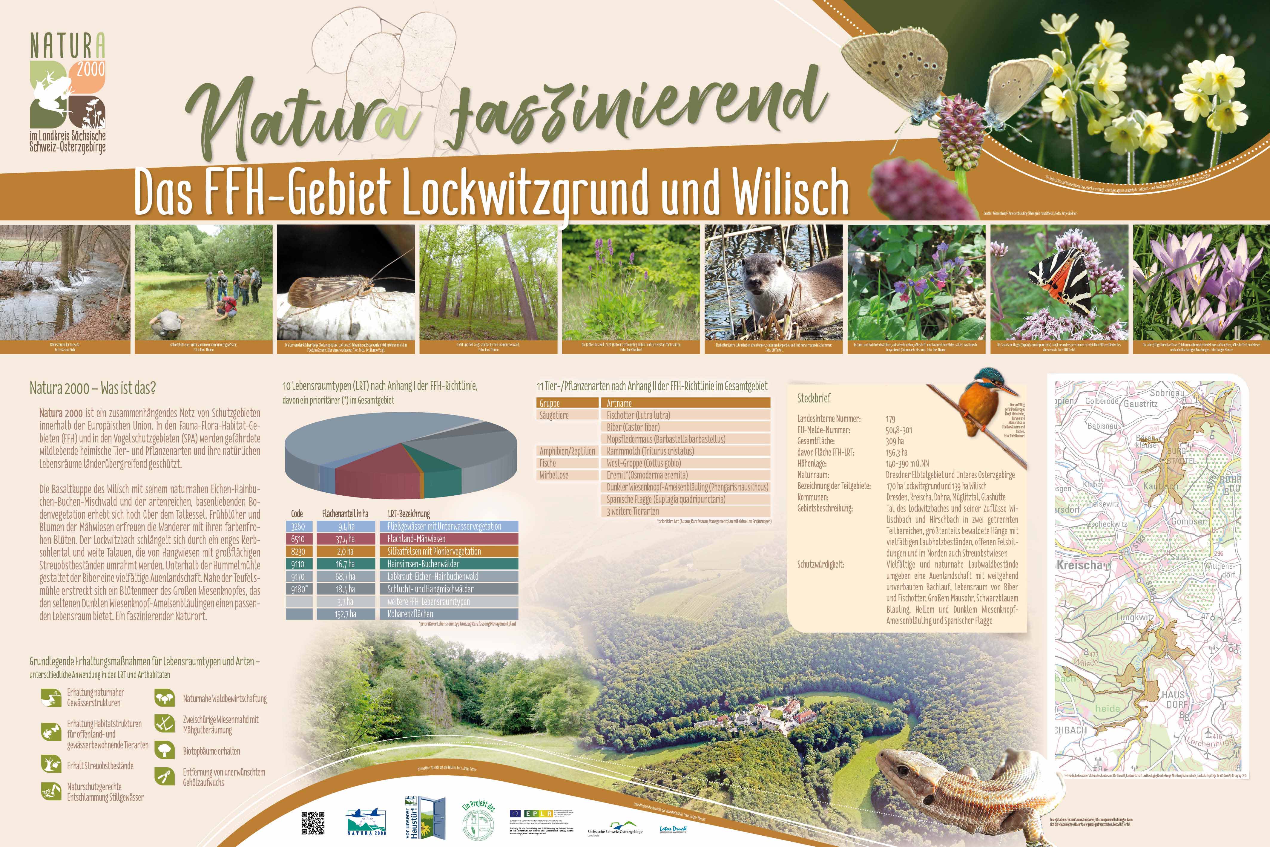 tl_files/downloads/Bilder Projekte/Projektstellen/Natura 2000 2.0/Tafeln/Natura2000_Tafeln_Lockwitzgrund.jpg